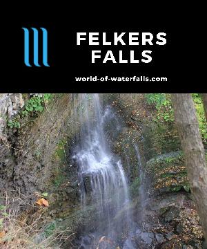 Felkers Falls (or Felker's Falls) is a 20m two-tiered waterfall on East Red Hill Creek viewed precariously from a trail in a residential suburb of Hamilton.