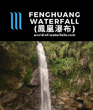 Fenghuang Waterfall (鳳凰瀑布; Fenghuang Falls) is a 25m plunge on the Bazhang Stream reached by a muggy 1.4km return trail on many steps beneath betel nut trees.