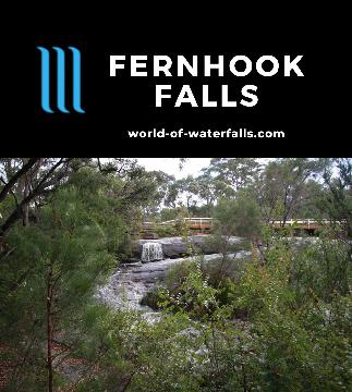Fernhook Falls can be a very wide waterfall on the Deep River spanned by a road bridge in a forest sprinkled with karri trees in the Walpole Wilderness Area.