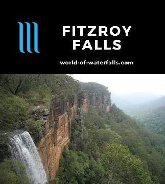 Fitzroy Falls is waterfall on Yarrunga Creek leaping 80m plunge off an escarpment viewed from lookouts on a short walking track in Morton National Park.