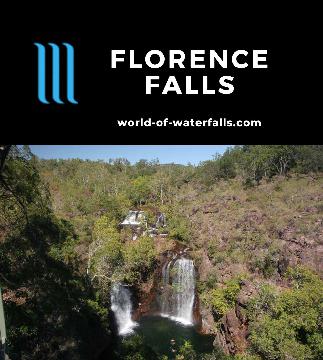 Florence Falls is a 30-40m waterfall a short walk from its car park in Litchfield National Park, featuring a swim hole that tends to be free of crocodiles.