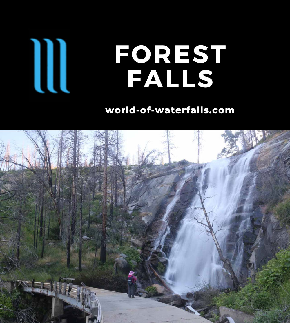 Foresta_Falls_042_06162017 - Foresta Falls