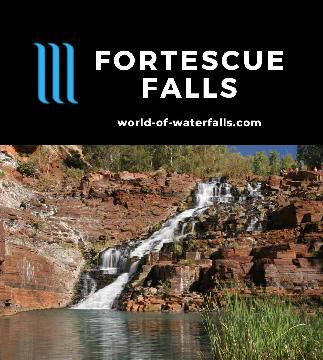 Fortescue Falls is a 20m year-round waterfall contrasting with red cliffs in the Dales Gorge area of Karijini National Park in the remote Pilbara Region of WA.