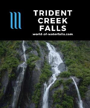 Trident Creek Falls is a shapely waterfall near the foot of the Franz Josef Glacier in the Westland Tai Poutini National Park in New Zealand's South Island.