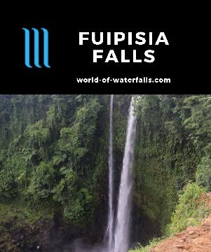 Fuipisia Falls (or Fuipisia Waterfall) is a pair of waterfalls with the main one featuring a 54m twin falls reached by a short walk near Apia, Upolu, Samoa.