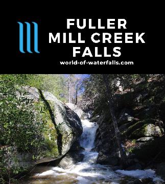 Fuller Mill Creek Falls is a 25ft waterfall near Idyllwild that is a habitat for the mountain yellow-legged frog so seeing it flow requires timing and luck.