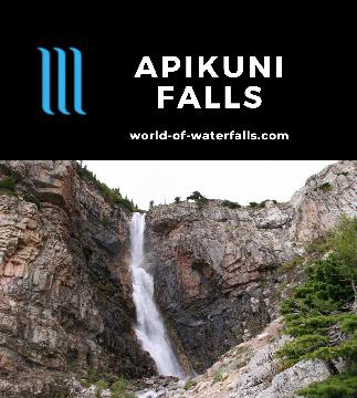 Apikuni Falls is a 150ft hidden waterfall on Apikuni Creek that I found to be the most striking waterfall in Two Medicine Valley in Glacier National Park.