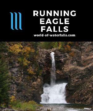 Running Eagle Falls is a waterfall that drops into a sink hole as well as itself, accessible by a short hike in Two Medicine Valley of Glacier National Park.