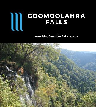 Goomoolahra Falls (or Bilborough's Falls) is a waterfall viewable from an overlook near the end of Springbrook Road, which featured other panoramic lookouts.