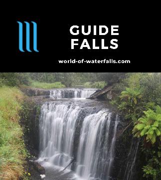 Guide Falls is a 25-35m block waterfall on the Guide River with lookouts both above and below the basalt wall easily reached on a 50-320m track near Ridgley.