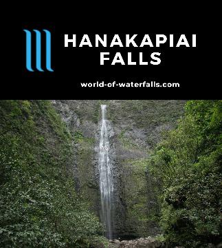 Hanakapiai Falls (Hanakapi'ai Falls) is a tall 300ft waterfall in the back of Hanakapi'ai Valley on a detour from the Kalalau Trail in an 8-mile day hike.