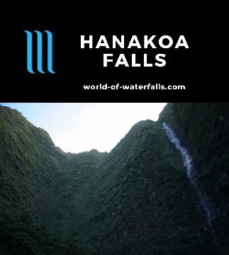 Hanakoa Falls is a 1000ft waterfall (mostly of it hidden) accessed near the half-way point of the Kalalau Trail along the Na Pali Coast on Kaua'i's North Shore.