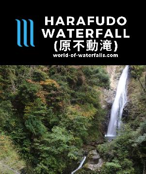 Harafudo Waterfall (原不動滝; Harafudo Falls or Hara Fudo Falls) is a 3-drop 88m falls seen from a 1.4km return walk full of suspension bridges near Shiso, Japan.