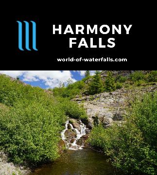Harmony Falls was a 50ft waterfall that once dropped into Spirit Lake before the major eruption of Mt St Helens buried it as the lake rose 200ft in its wake