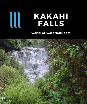 Kakahi Falls is a 12m geothermally-heated waterfall surrounded by mud volcanos, acidic lakes, and colourful springs in the Hell's Gate Reserve near Rotorua.
