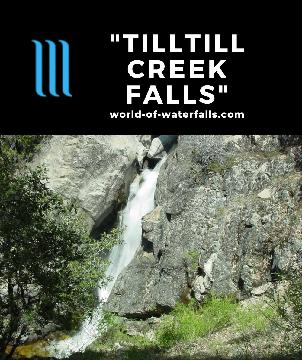 Tilltill Creek Falls is a name I made up for this welcoming waterfall on Tilltill Creek. After a long time since the last waterfall seen, it is a welcome sight for sore eyes...