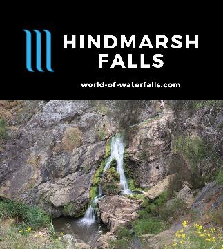 Hindmarsh Falls is a 20-25m waterfall easily viewable from a lookout at the end of a short 10-15 minute return track in Hindmarsh Valley near Victor Harbor.