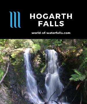 Hogarth Falls is a 15-20m waterfall on Botanical Creek within the People's Park in the coastal Tasmanian town of Strahan accessed by a flat 2.5km return track.