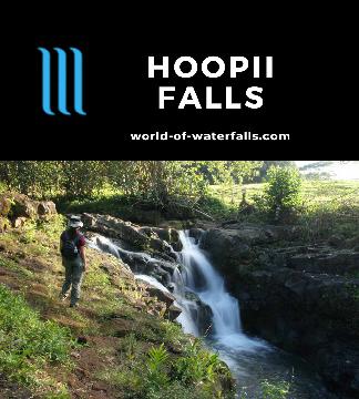 Hoopii Falls (or Ho'opi'i Falls) are a pair of waterfalls hidden in a residential area with lots of 'No Trespassing' signs in the Kapa'a Homesteads of Kaua'i.