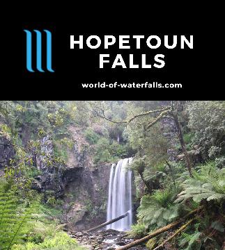 Hopetoun Falls is an easy-to-access 30m plunge waterfall nestled in a lush setting typical of the Otways Rainforest near Beech Forest making it photo-friendly.