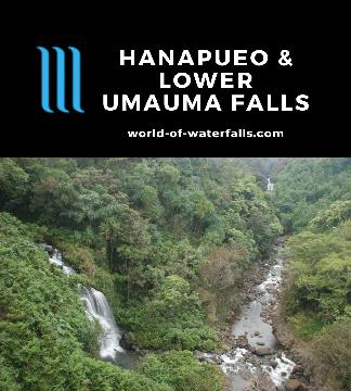 Both the Hanapueo Falls and the Lower Umauma Falls are visible from a bridge along Highway 19 just north of Hilo.  You'll have to watch for a pullout on the mauka...