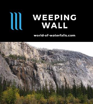 The Weeping Wall pertains to a wall of supposedly many waterfalls (if conditions allow) seen along Icefields Parkway beneath Cirrus Mountain in Alberta, Canada.