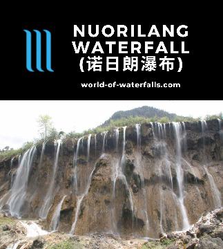 Nuorilang Waterfall (诺日朗瀑布) is a 20m tall 320m wide and well-known travertine falls in Jiuzhaigou Nature Reserve in the Sichuan Province in China's southwest.