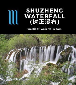 Shuzheng Waterfall (树正瀑布) is a wide waterfall on the Zechawa River segmented by lots of foliage growing in the watercourse itself in China's Jiuzhaigou Reserve.