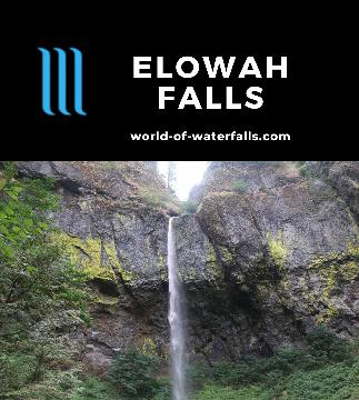 Elowah Falls is a 213ft waterfall free-falling on McCord Creek in the Columbia River Gorge accessed by 1.6-mile round-trip hike from the John B Yeon Trailhead.