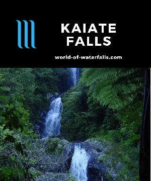 Kaiate Falls (or Te Rerekawau in Maori) consists of a 25m 3-tiered upper falls and a 10m lower falls accessed by a loop bush walk near Tauranga, New Zealand.