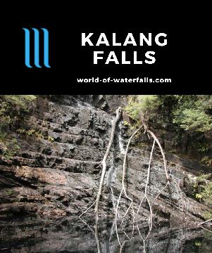 Kalang Falls is a seasonal waterfall in the Kanangra-Boyd National Park in a remote part of the Blue Mountains, which is accessed by a 60-minute return walk.