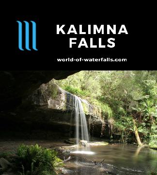 The Kalimna Falls are two waterfalls reached on an 8.4km return track providing lots of tranquility in a forest setting of the Angahook-Lorne State Park area.
