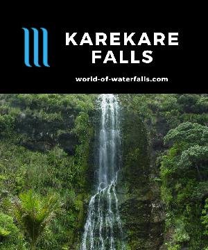 Karekare Falls is an attractive 25m waterfall spilling into a serene plunge pool by a picnic area near Karekare Beach in the Waitakere Range of Auckland, NZ.