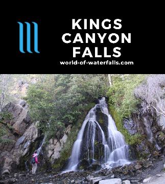 Kings Canyon Falls is a 30ft waterfall in the driest state in the United States near Carson City reached after a brief hike with other falls further upstream.