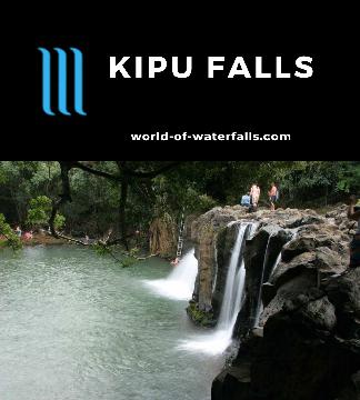 Kipu Falls is a tiny but very popular waterfall that is known more as a swimming hole rather than a scenic falls.  It probably tumbles about 15ft over some slippery rocks (I saw a guy...