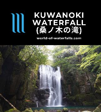 Kuwanoki Waterfall (桑ノ木の滝; Kuwanoki-no-taki or Kuwanoki Falls) is a serene waterfall near Shingu in the Wakayama-ken said to be named after mulberry trees.
