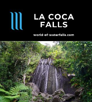 La Coca Falls is a popular, easy-to-visit, roadside waterfall with a 26m tall drop in the main part of the El Yunque Rainforest in northeastern Puerto Rico.