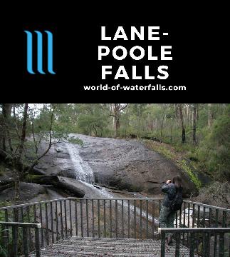 Lane-Poole Falls is a short waterfall at the end of a pleasant bush walk involving a grove of large karri trees including the Boorara Tree in Northcliffe, WA.