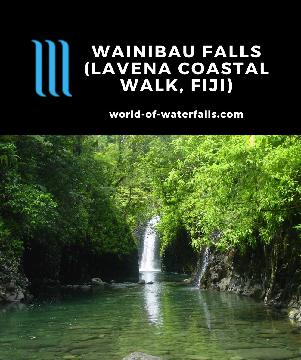Wainibau Falls is a very beautiful 10-15m waterfall and swimming hole at the end of the scenic 5km Lavena Coastal Walk on the east coast of Taveuni Island.