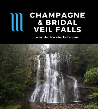 Champagne Falls and Bridal Veil Falls are waterfalls 15m and 20m tall, respectively, reached by a 2.5-hour loop track at the Lemonthyme Wilderness Retreat.