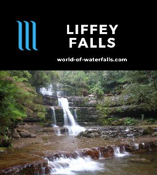 Liffey Falls is a series of four distinct waterfalls on the Liffey River in the Great Western Tiers and part of the Tasmanian Wilderness World Heritage Area.