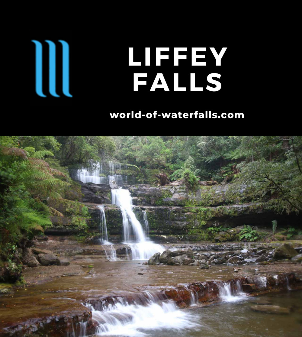 Liffey_Falls_17_127_11242017 - Liffey Falls
