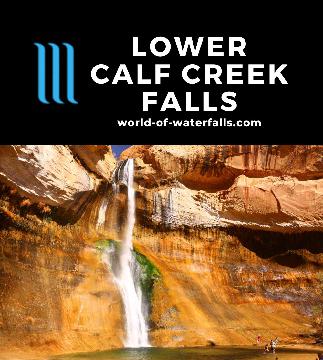 Lower Calf Creek Falls is a 126ft year-round waterfall requiring a 6-mile hike to reach featuring pictographs, wildlife, and towering sandstone cliffs.