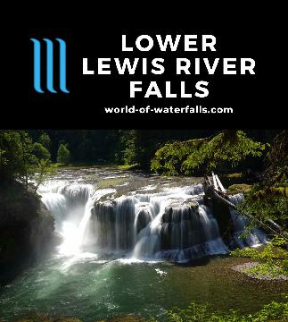 Lower Lewis River Falls is a wide 200ft waterfall with a 43ft height making it one of the more impressive wild waterfalls in the state of Washington...