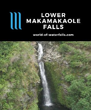 Lower Makamakaole Falls is a rare waterfall in West Maui with a 60ft drop that can be seen from a roadside pullout on Kahekili Highway north of Wailuku.