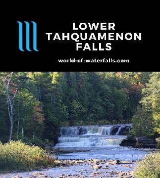 Lower Tahquamenon Falls is a 20ft waterfall split by an island with opportunities for boating, hiking, and playing around it near the Upper Tahquamenon Falls.