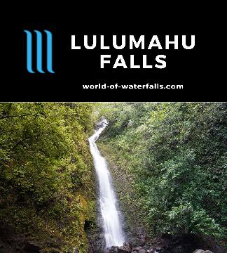 Lulumahu Falls was a once-forbidden 70ft waterfall sourced from the headwaters of Nuuanu Stream (near the Pali Lookout), where getting there wasn't obvious.