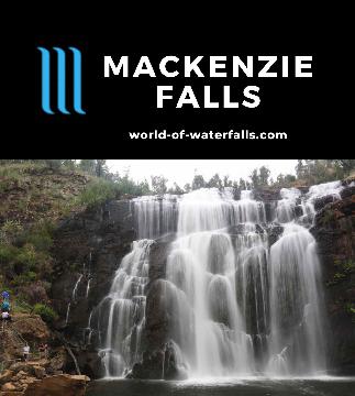 MacKenzie Falls is a popular 35m waterfall that demonstrated lots of resilience in the fire-prone Grampians National Park with Broken Falls as an added bonus.