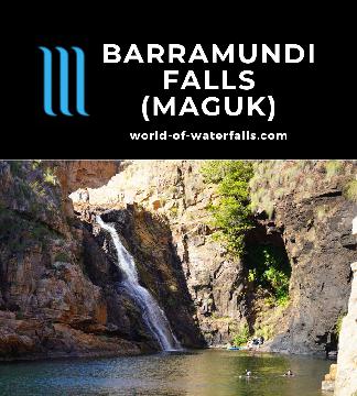 Barramundi Falls (or Maguk) is a waterfall with a huge Dry Season swimming hole accessed by a washboarded 4wd road and 1km hike in Kakadu National Park.