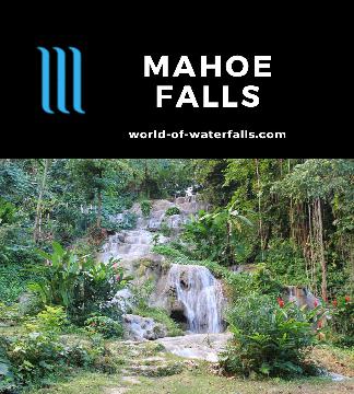 Mahoe Falls is a series of sloping limestone waterfalls that we saw in the Coyaba Gardens near Ocho Rios in Jamaica. Its name is derived from the mahogany tree.
